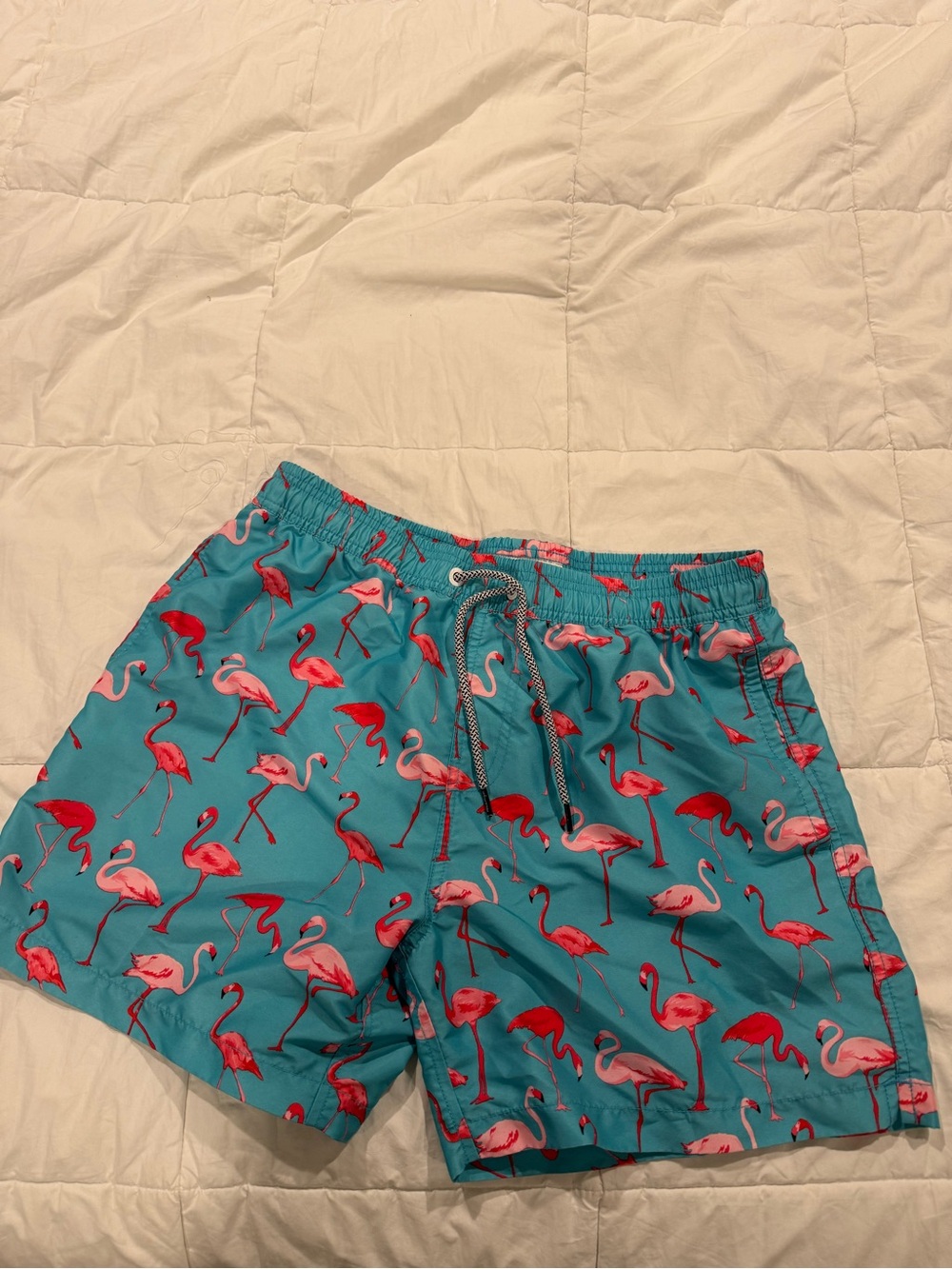 Men's Teal Flamingo Swim Trunks